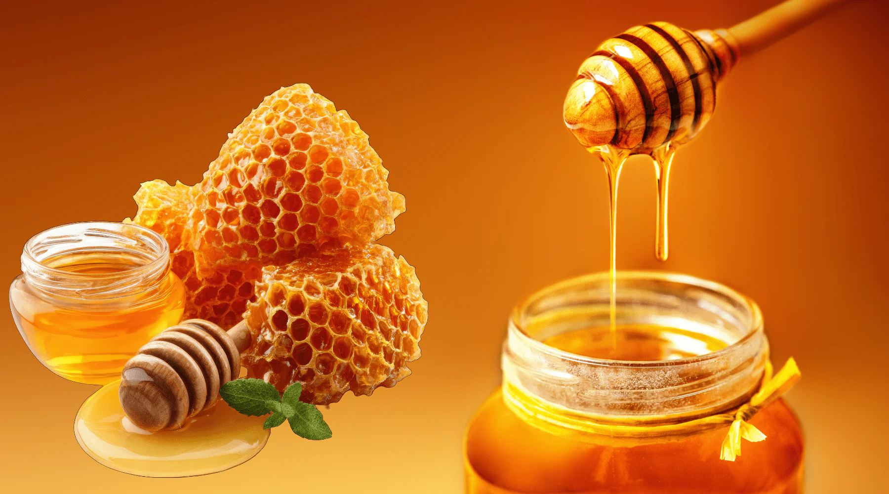 Joreen_Blog_1-1965866